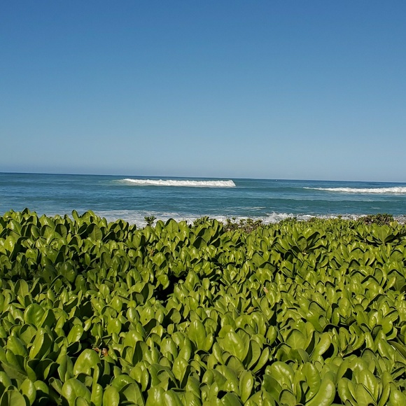 Meet your Posher, Jennifer - Picture 1 of 1